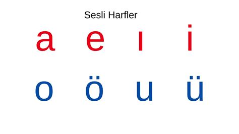 türkçe alfabe sesli harfler